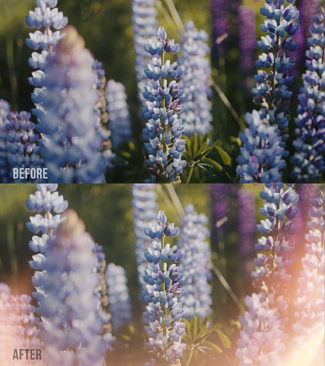 Light Leaks & Lens Flares - Video Overlays