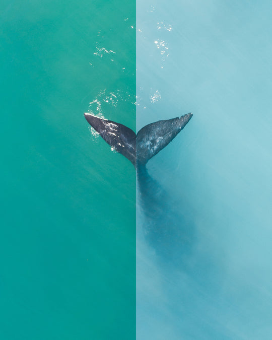 Coastal Blues II - Preset pack