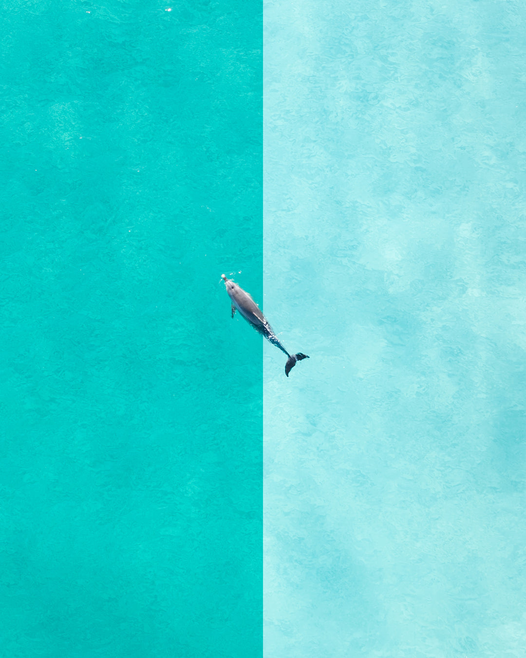 Coastal Blues - Two Pack