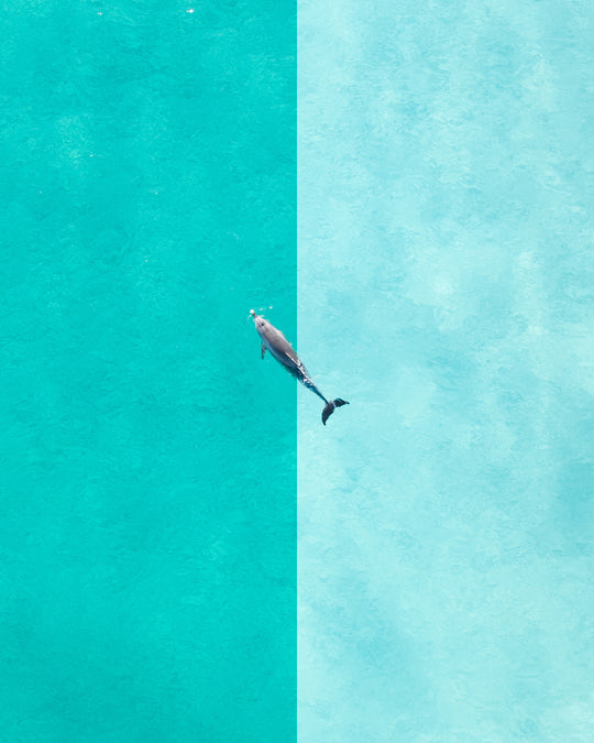 Coastal Blues - Two Pack