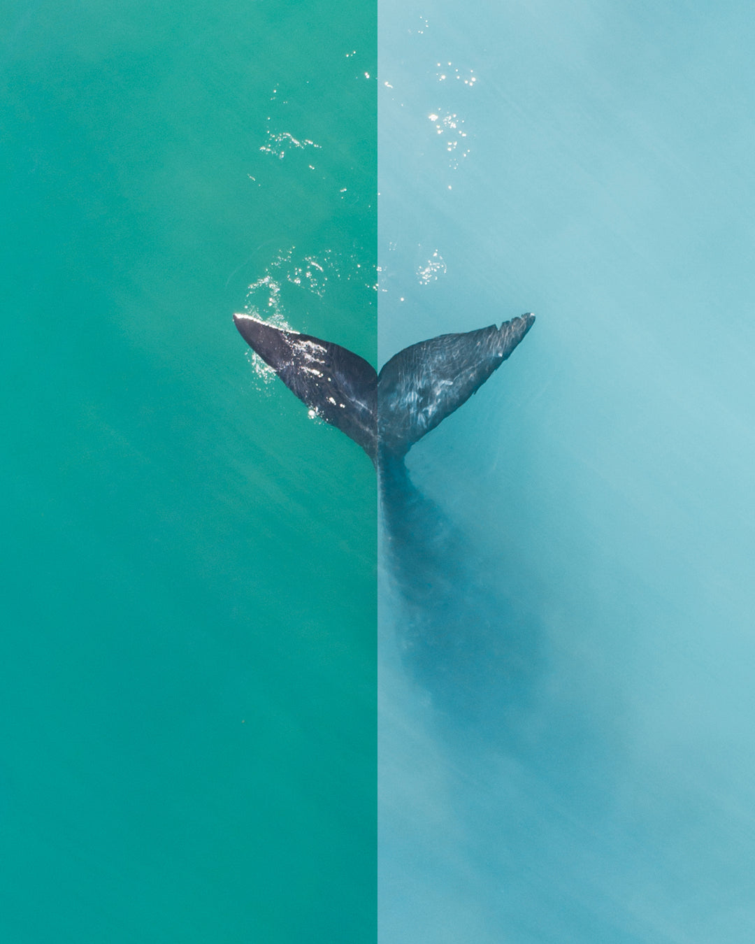 The Complete Collection - Photo Preset pack