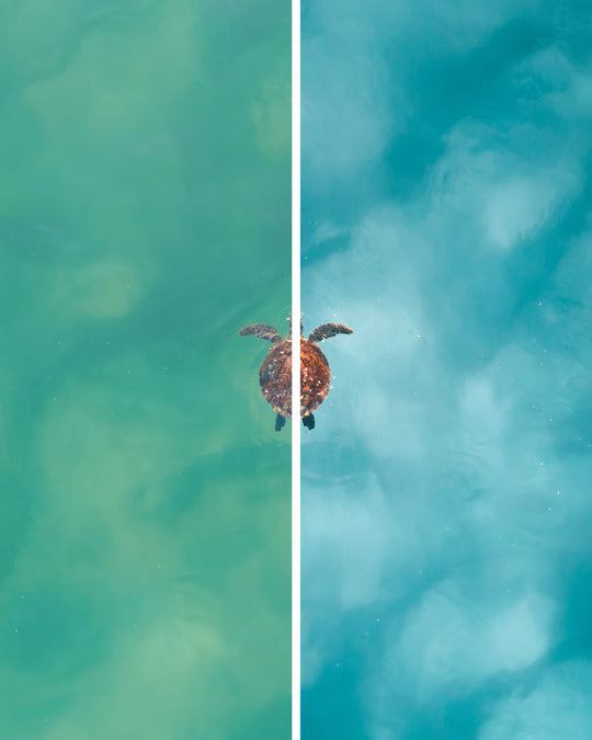 The Complete Collection - Photo Preset pack