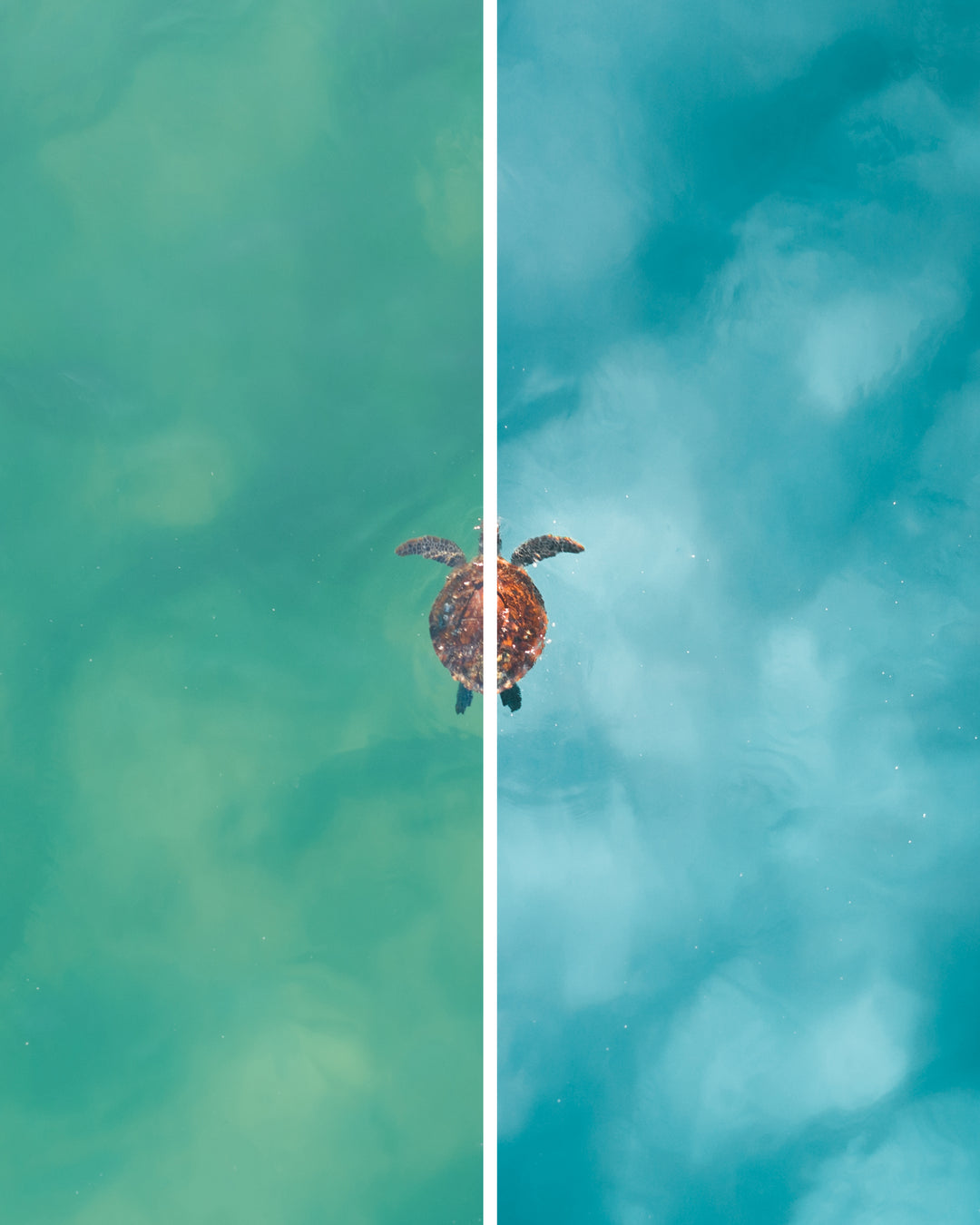 Coastal Blues - Two Pack