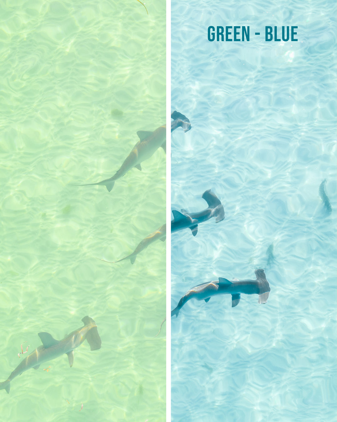 Coastal Blues - Preset pack