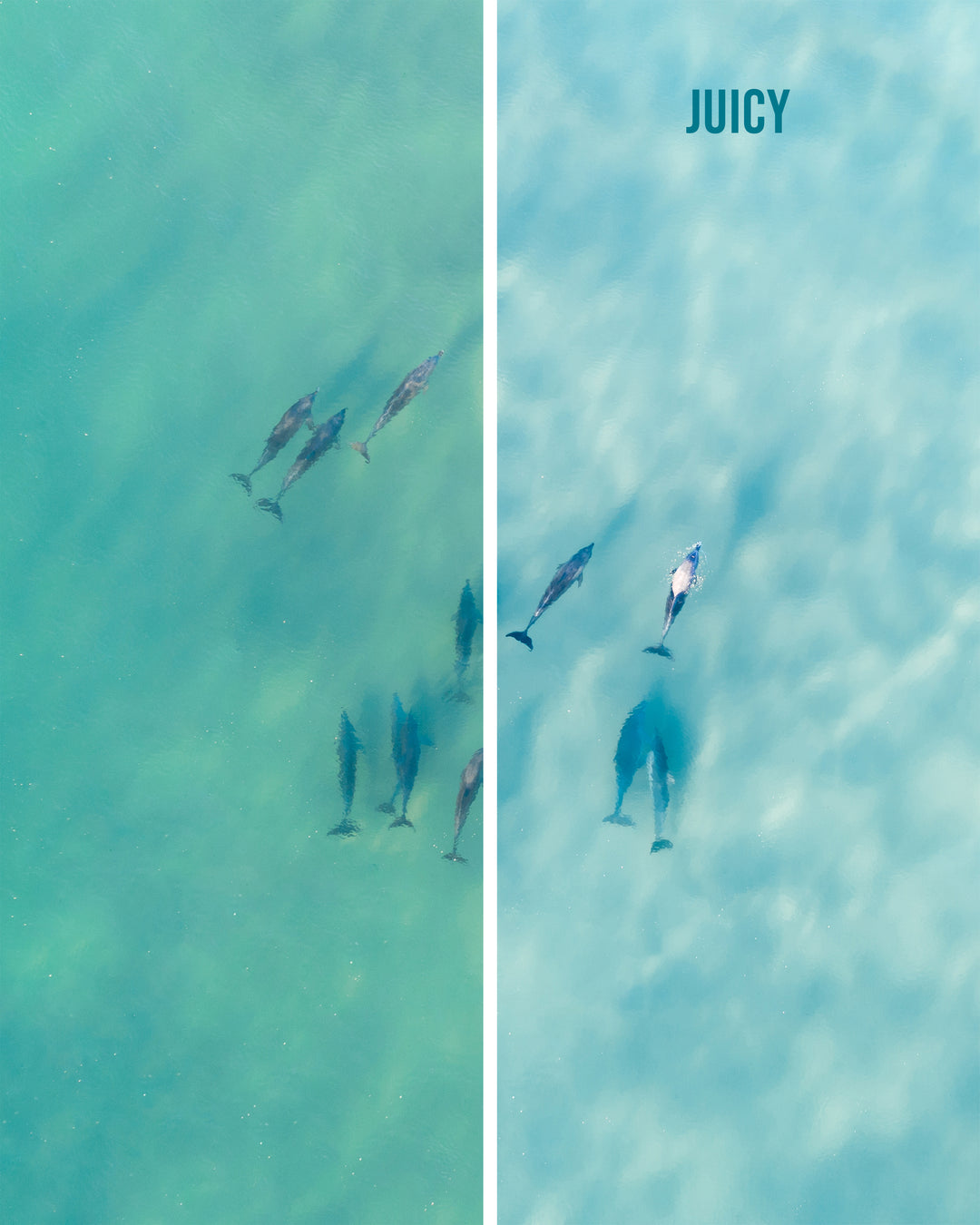 Coastal Blues - Preset pack