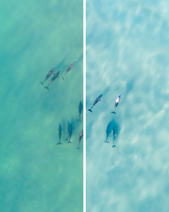 Coastal Blues - Two Pack