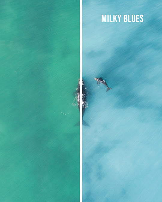 Coastal Blues - Preset pack