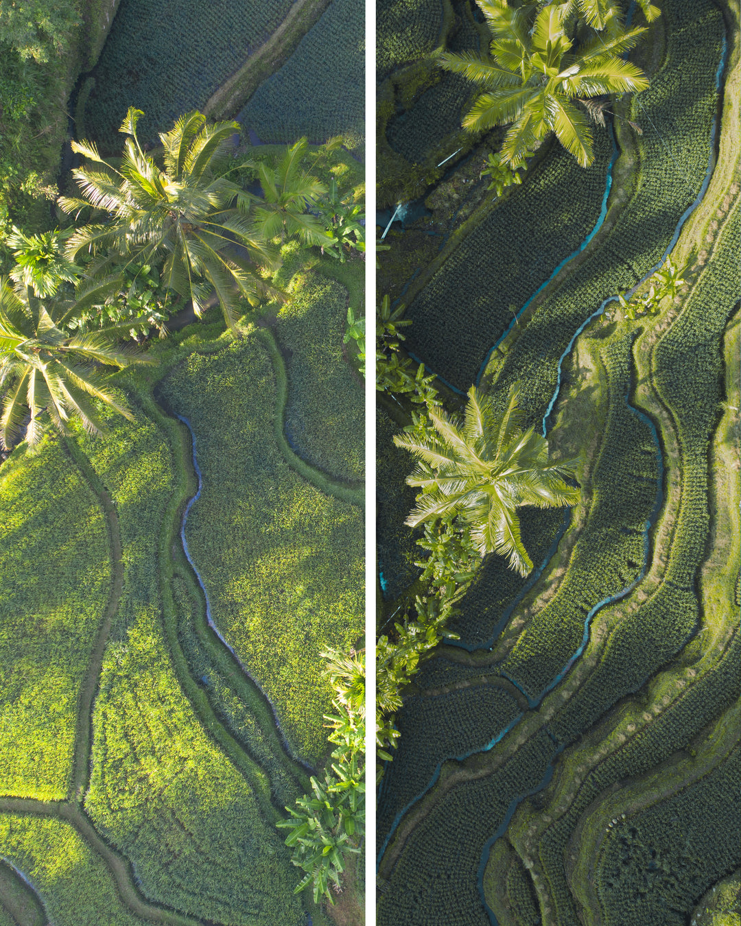 The Complete Collection - Photo Preset pack