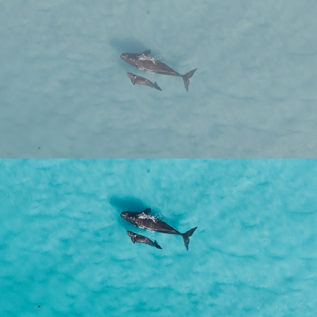 Drone LUT&