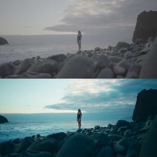 Sony LUT&