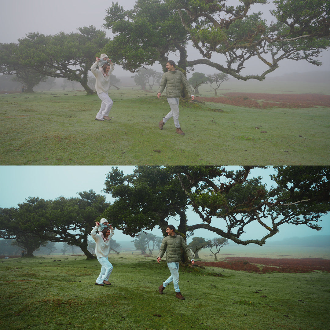 Sony LUT&