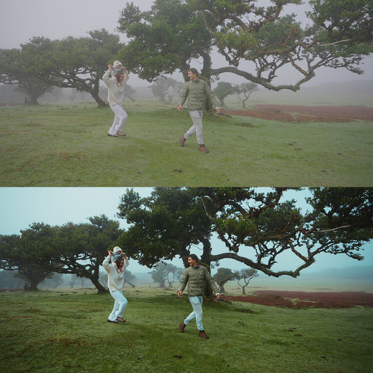Sony LUT&