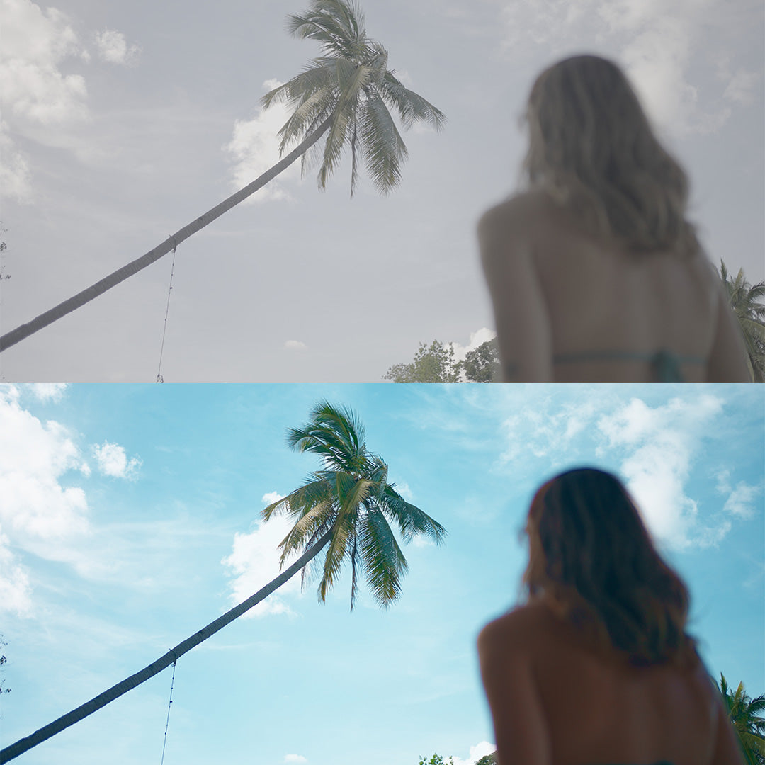 Sony LUT&