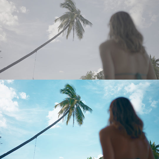 Sony LUT&