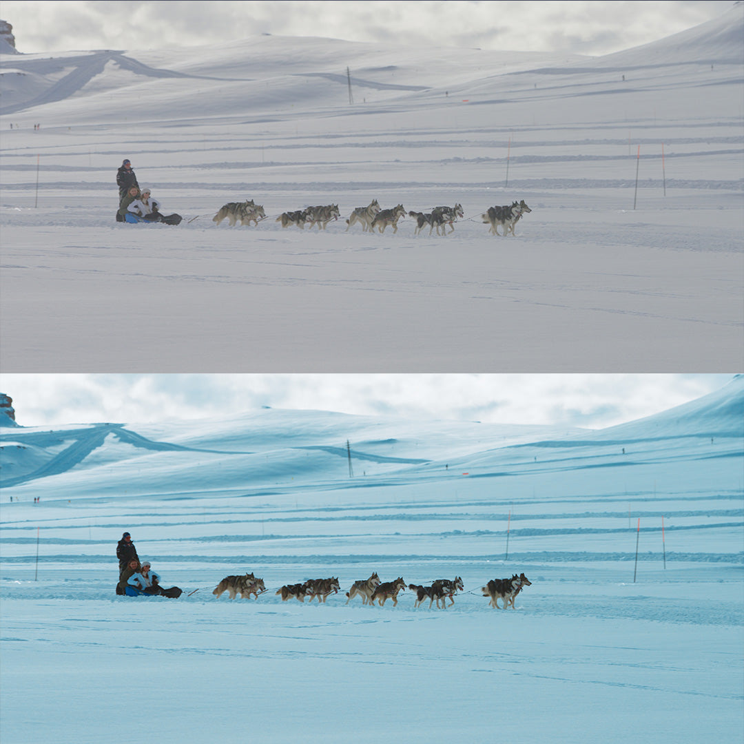 Sony LUTs