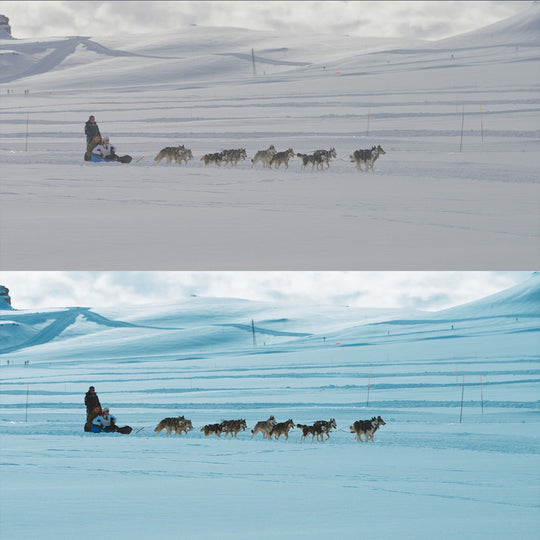 Sony LUTs